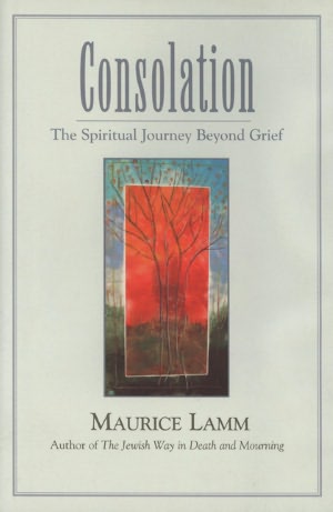 Consolation (Online Book)